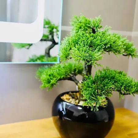 Casa Con Giardino Netflix E Servizio Ristorazione - 10 Minuti Da Torino *